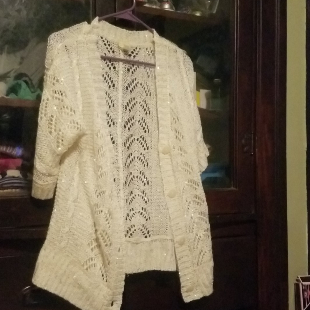 Sparkly button up daytrip sweater